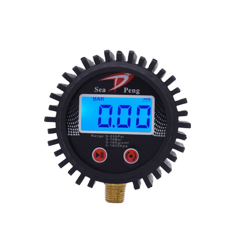 Pressure Gauge