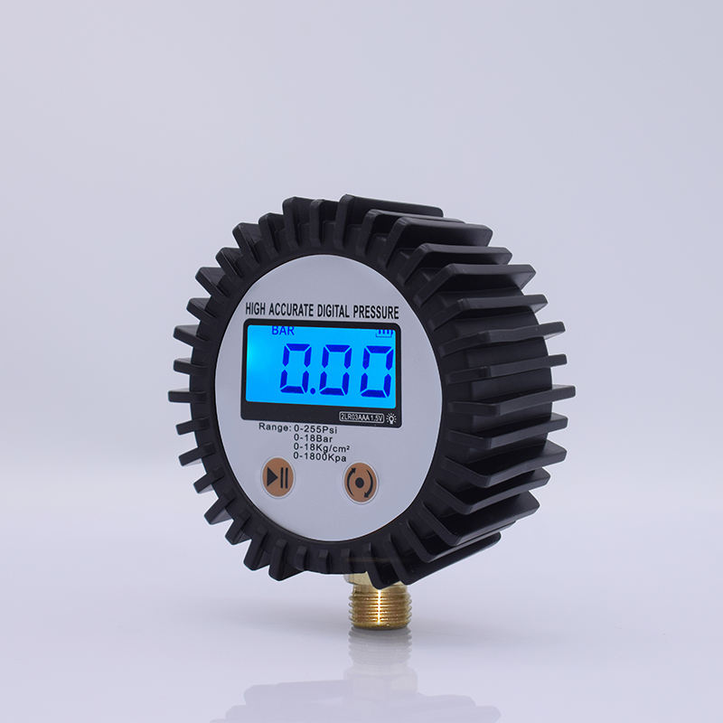 SEAPENG Digital Tire Pressure Gauge 1/4'' NPT Bottom Connector Digital LCD Display DP-B04 CN;GUA 3V Two AAA Battery CE Certified
